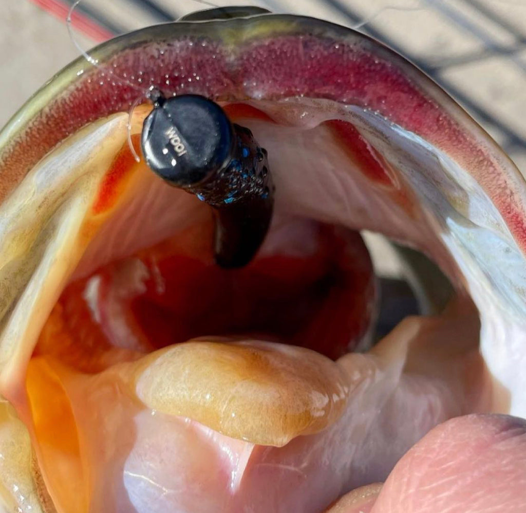 3/8 oz WOO! Tungsten Ned Head (2 pack) - WOO! TUNGSTEN