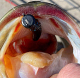 3/8 oz WOO! Tungsten Ned Head (2 pack) - WOO! TUNGSTEN
