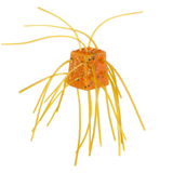 The WOO! Cube (Available in 7 Colors)